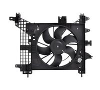 Radiator fan D8R011TT THERMOTEC for DACIA DUSTER DUSTER SUV Van