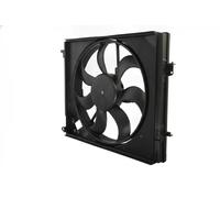 THERMOTEC D8R020TT Fan, engine cooling for RENAULT