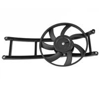 Radiator fan FT56164 FAST for FIAT PANDA PANDA Hatchback Van PUNTO