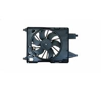 MAGNETI MARELLI 069422729010 Fan, radiator