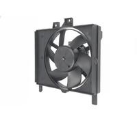 MAGNETI MARELLI 069422873010 Fan, radiator