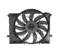 THERMOTEC D8M004TT Fan, radiator