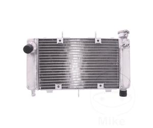 Radiator Fits Yamaha FZ6 600 N 04-06 Round Metal 1 Unit 4043981299106