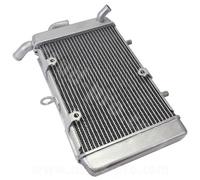 Yamaha Xmax X-Max 300 Radiator 2017 2018 2019 2020