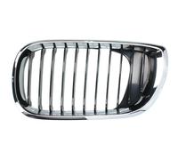 Radiator Grill on the Left Fits:BMW 3 E46