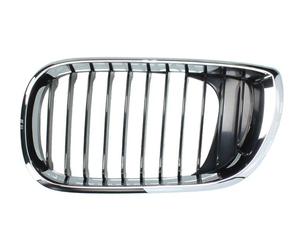 Radiator Grill on the Left Fits:BMW 3 E46