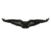 Radiator grille fits: MAZDA 2 DE 10.07-10.10