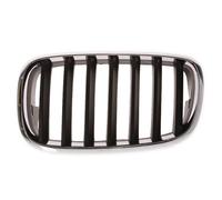 Radiator grille left fits: BMW X5 E70, X6 E71, E72 02.07-09.10