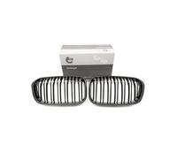 ESEN SKV 66SKV318 Radiator Grille