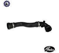 GATES 05-2834 Radiator hose