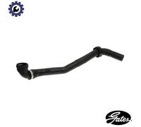 Radiator Hose Upper 05-2964 Gates Coolant 5N0121101G 427552964 Quality New