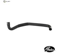 GATES 05-2968 Radiator hose
