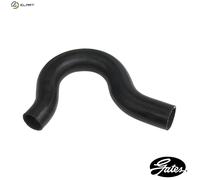 RADIATOR HOSE 05-3217 FOR FORD TRANSIT/Bus/Platform/Chassis/Van 4AB 2.5L 4cyl