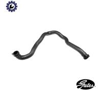 GATES 05-4492 Radiator hose
