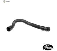 GATES 05-4550 Radiator hose