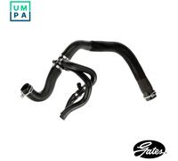 Cooling system hose EPDM (ethylene propylene diene Monomer (M-class) rubber)