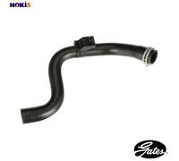 GATES 05-5260 Radiator hose