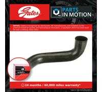 Radiator Hose 05-5658 Gates Coolant 81963010905 427555658 Top Quality Guaranteed