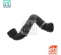 FEBI BILSTEIN 100617 Engine Cooling