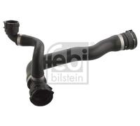 RADIATOR HOSE 103419