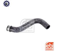 FEBI BILSTEIN 170439 Radiator hose