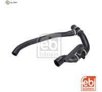 FEBI BILSTEIN 183455 Radiator hose