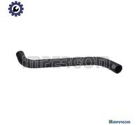 RADIATOR HOSE 19550 FOR PEUGEOT BOXER/Platform/Chassis/FURGON/Van/Bus FIAT