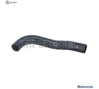 Impergom Radiator Hose 227810 - Upper Rubber - Fits Mitsubishi L200/Strada/Storm SUV
