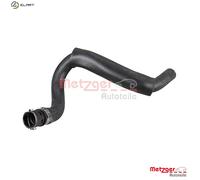 METZGER 2421237 Radiator hose