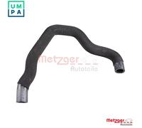METZGER 2421668 Radiator hose