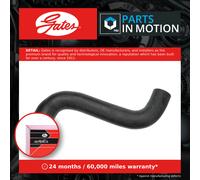 Gates 3081 Radiator Hose