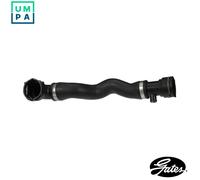 GATES Engine Hose 3937