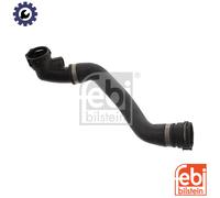 FEBI BILSTEIN 45815 Radiator hose