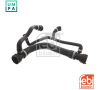FEBI BILSTEIN 45819 Radiator hose
