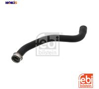 FEBI BILSTEIN 46429 Radiator hose