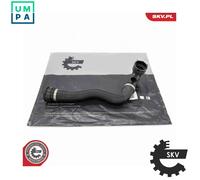 ESEN SKV 54SKV772 Radiator hose