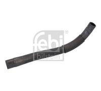 FEBI BILSTEIN 192752 Radiator hose