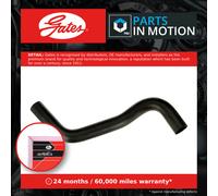 Radiator Hose fits SUZUKI VITARA LY 1.6 Lower 2015 on M16A Manual Transmission