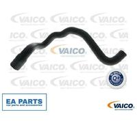 Radiator Hose for AUDI A4 VAICO V10-2810