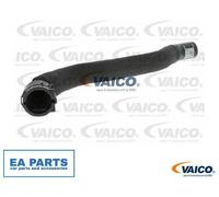 Radiator Hose for AUDI A6 VAICO V10-4627
