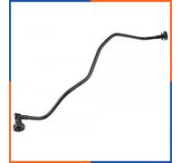 Radiator Hose for AUDI | CPP-AU-031, 56554