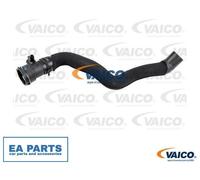 Radiator Hose for AUDI Q5 VAICO V10-5532 fits Lower NEW