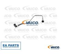 Radiator Hose for BMW E53 VAICO V20-0889
