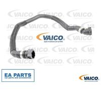 Radiator Hose for BMW F07 VAICO V20-2676