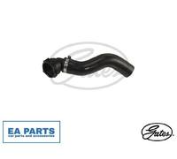 Radiator Hose for FIAT DOBLO Bus DOBLO Cargo GATES 05-3090