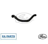 Radiator Hose for FIAT DOBLO GATES 05-2713