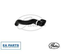 Radiator Hose for FIAT DOBLO GATES 05-2976