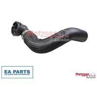 Radiator Hose for FIAT DUCATO METZGER 2421406 fits Radiator, Upper Right