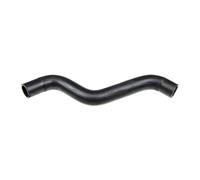VAICO V25-1983 Radiator hose