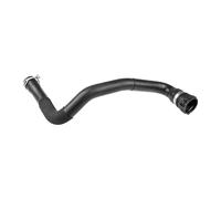Radiator Hose For Ford KUGA FOCUS ESCAPE C-MAX 10-19 1712444 Lower